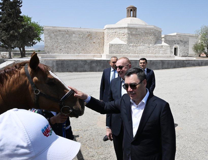President Ilham Aliyev presents Karabakh horse to President Sadyr Zhaparov (PHOTO)