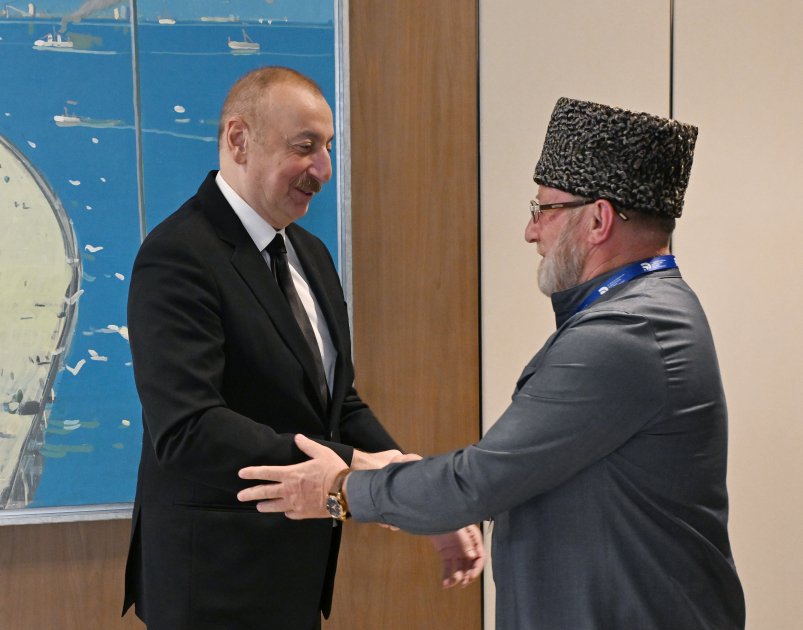 President Ilham Aliyev receives delegation of muftis of North Caucasus region of Russia (PHOTO/VIDEO)
