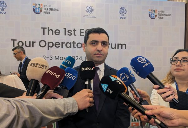 Cruise travel co-op with Caspian littoral countries under review - Azerbaijani official