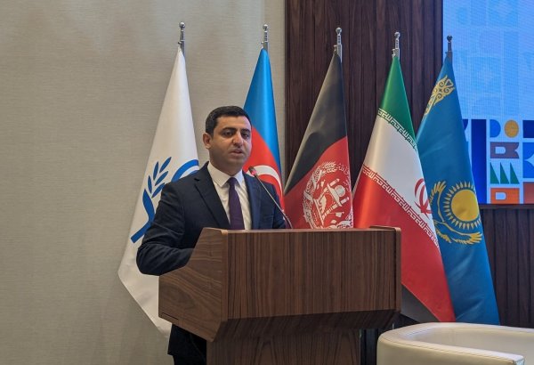 Azerbaijan seeks collaborative ventures with ECO nations - State Tourism Agency official