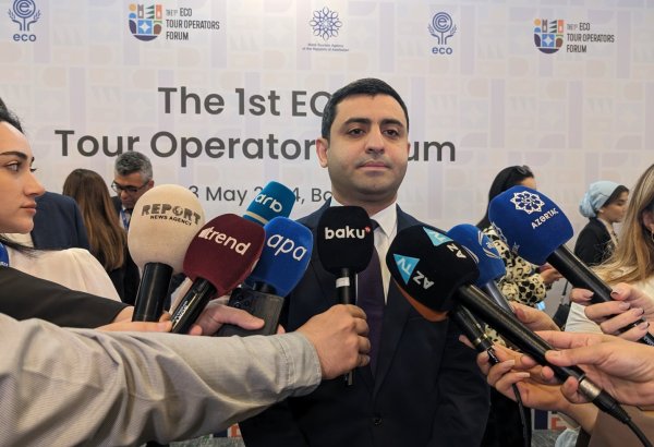 Post-pandemic tourism recovery in Azerbaijan likely to end this year - official