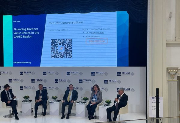 Climate finance needs to be accessible - Azerbaijani minister