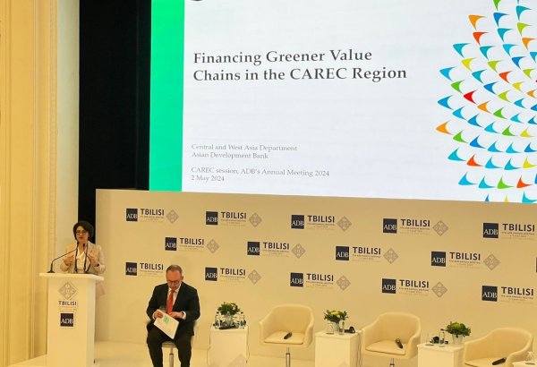 CAREC ranks among highest in CO2 emissions - ADB's director general