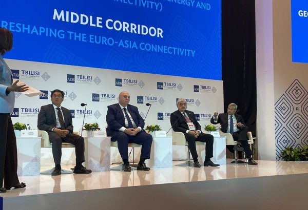 Georgia ranking among important, reliable partners of Azerbaijan - minister