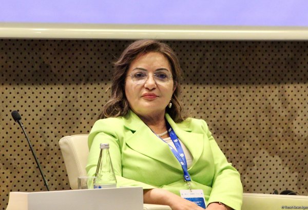 Shusha declaration one of factors strengthening unity in OTS - Türkiye's official