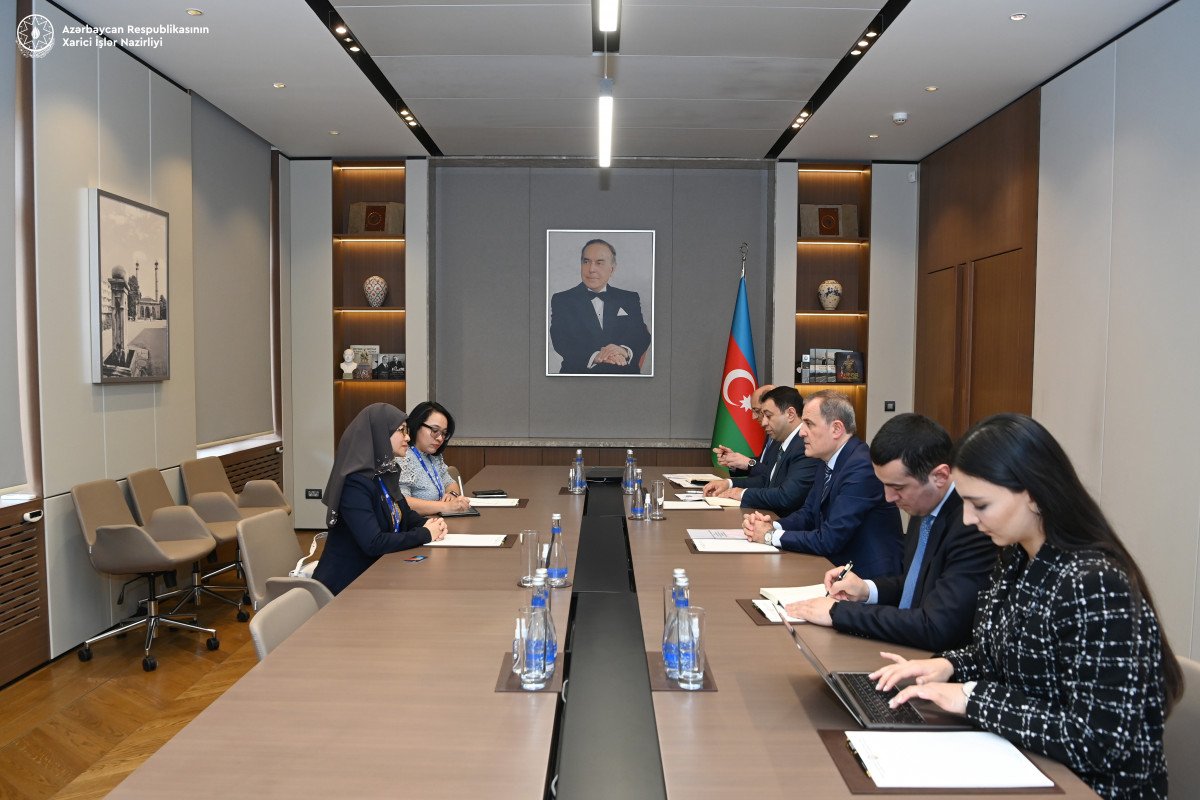 Azerbaijani FM updates ASEAN IPA's SecGen on preparations for COP29