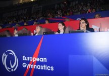Baku hosts stunning opening ceremony of European Cup in Rhythmic Gymnastics (PHOTO)