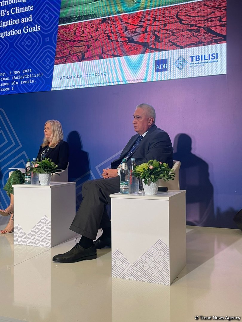 Procurement practices in Georgia undergo transformation - deputy chairman