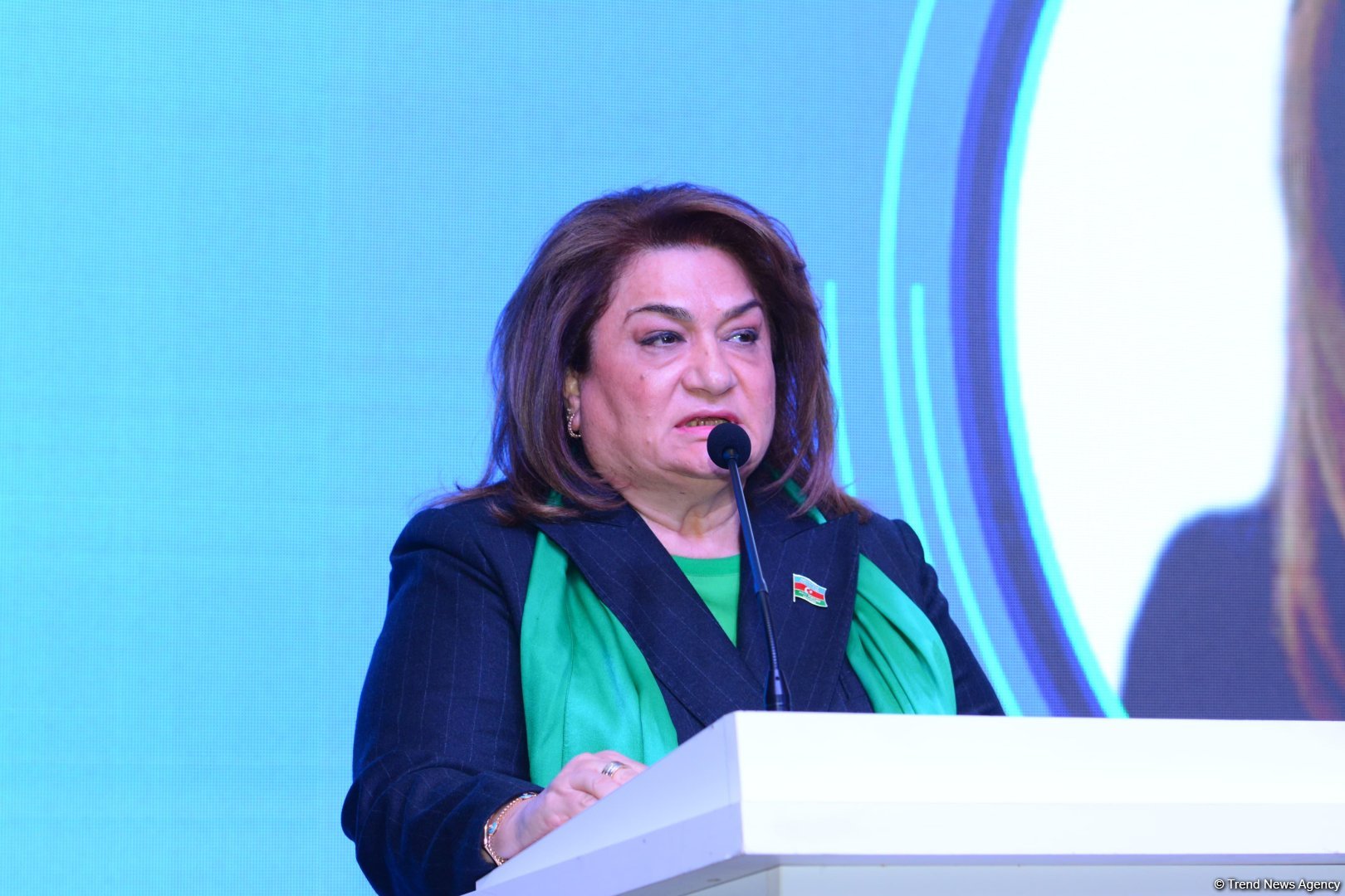 Media remains main transmitter of social experience - Azerbaijani MP
