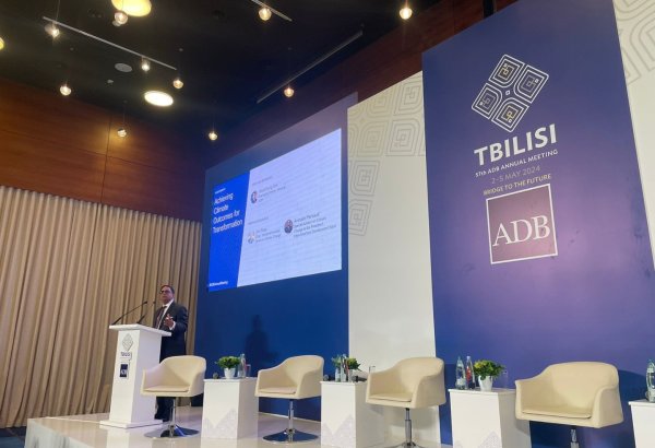 Middle-income nations need full involvement in green transition - expert