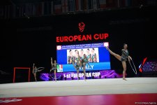 Second day of European Rhythmic Gymnastics Cup competition kicks off in Azerbaijan's Baku (PHOTO)