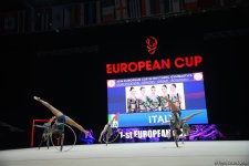 Second day of European Rhythmic Gymnastics Cup competition kicks off in Azerbaijan's Baku (PHOTO)
