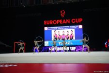 Second day of European Rhythmic Gymnastics Cup competition kicks off in Azerbaijan's Baku (PHOTO)