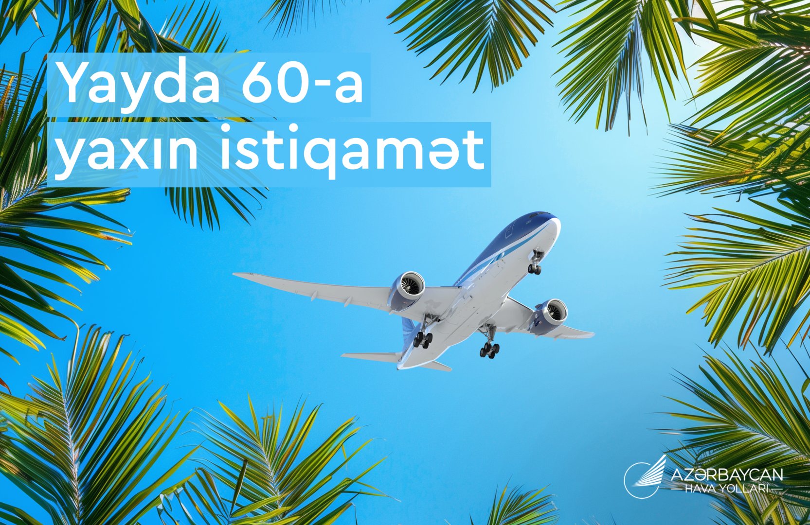 AZAL's extensive summer flight program to around 60 destinations