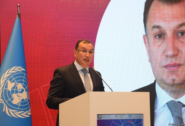 Soft loans in Azerbaijan encourage women's entrepreneurship - deputy minister