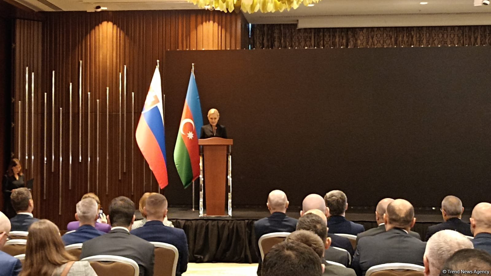 Azerbaijan plays crucial strategic role as valued partner of Slovakia - Deputy PM