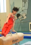 Competitions of Open Baku Championships in Artistic Gymnastics kick off (PHOTO)