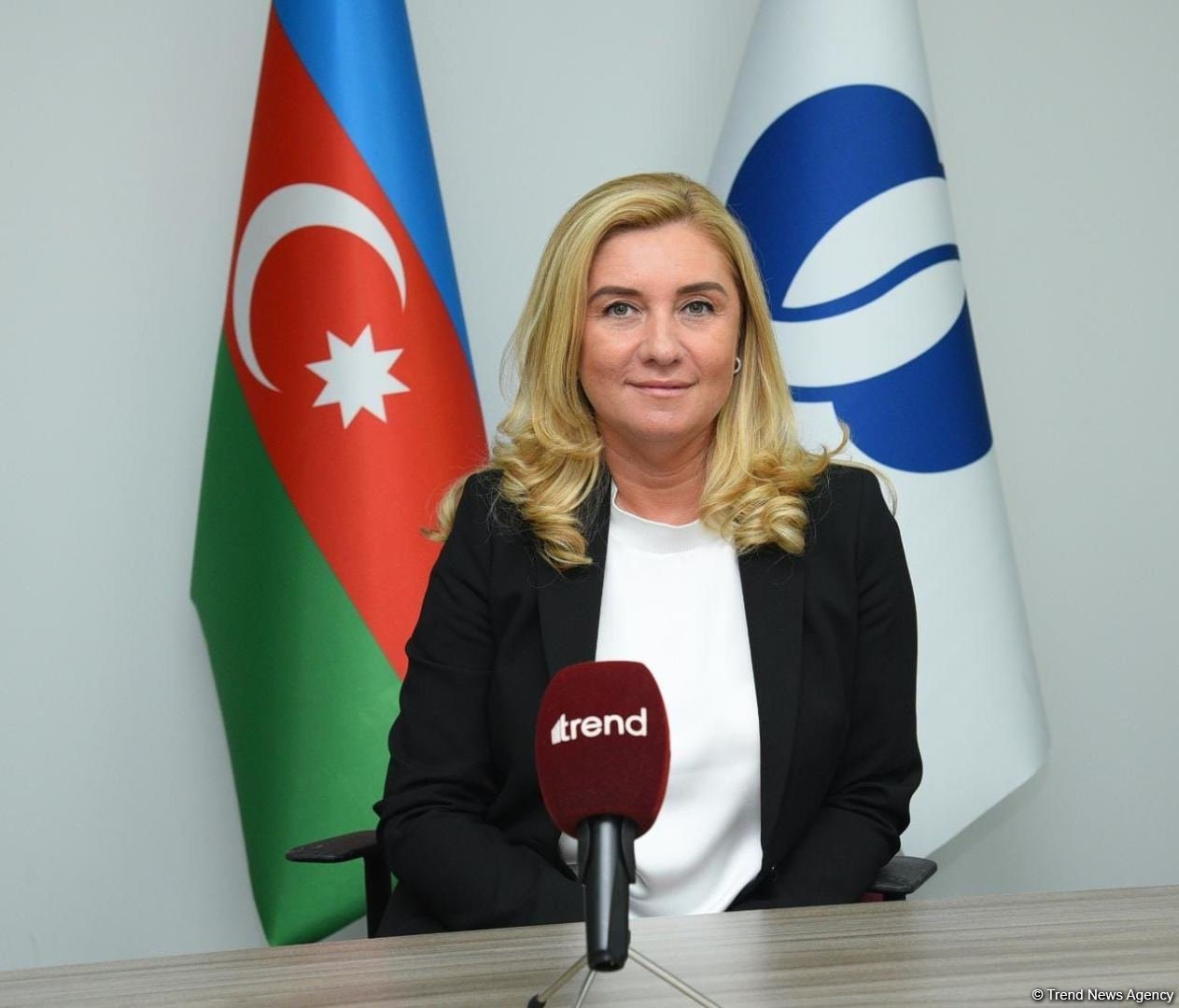 80% of EBRD’s recent investments in Azerbaijan directed to green economy - Nataly Mouravidze