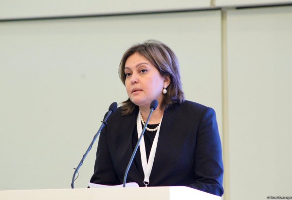 Azerbaijan to submit its climate transparency report prior to COP29 - official