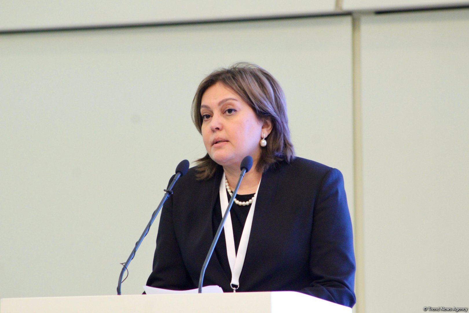 Mechanisms need account for each climate convention's function - official