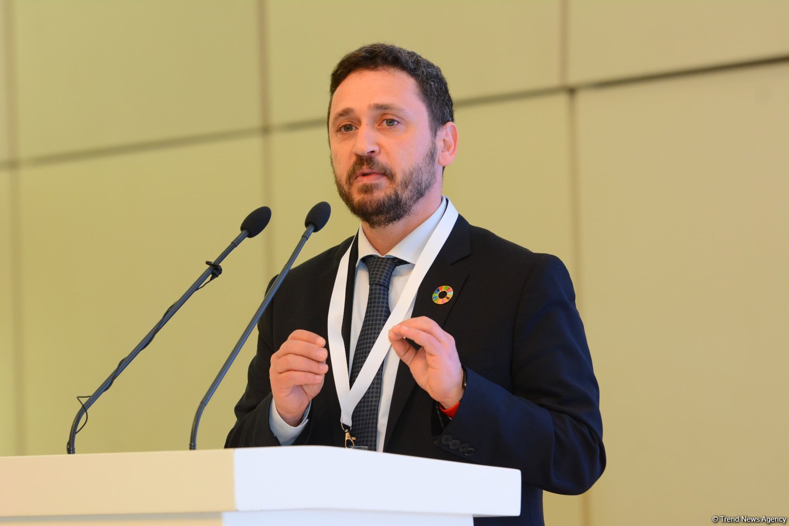 Success of COP29 to signify success of COP30 - UNDP official
