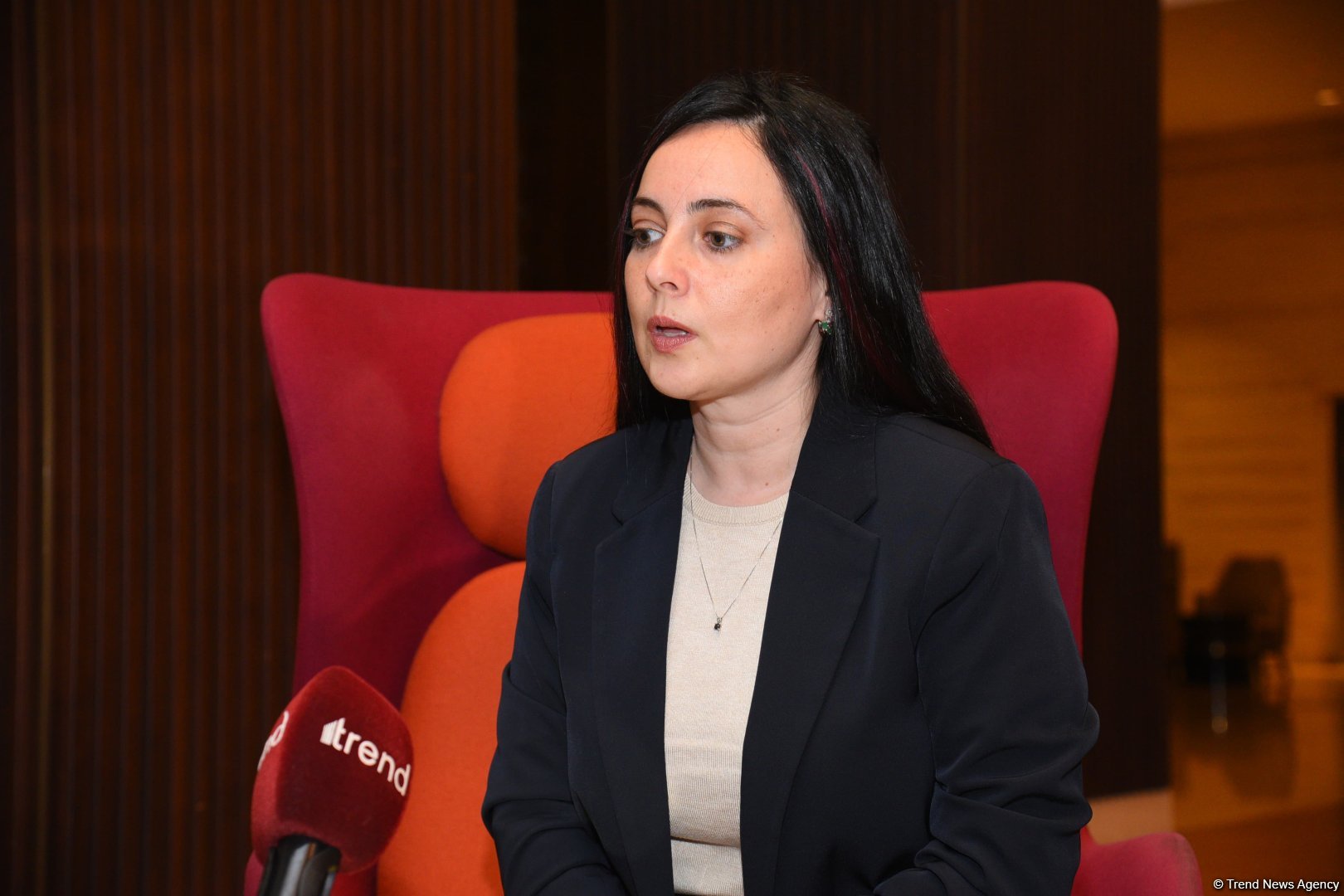 Israeli entrepreneurs keen on partnering with Azerbaijan across various sectors - Elina Bardach-Yalov (Interview) (PHOTO)