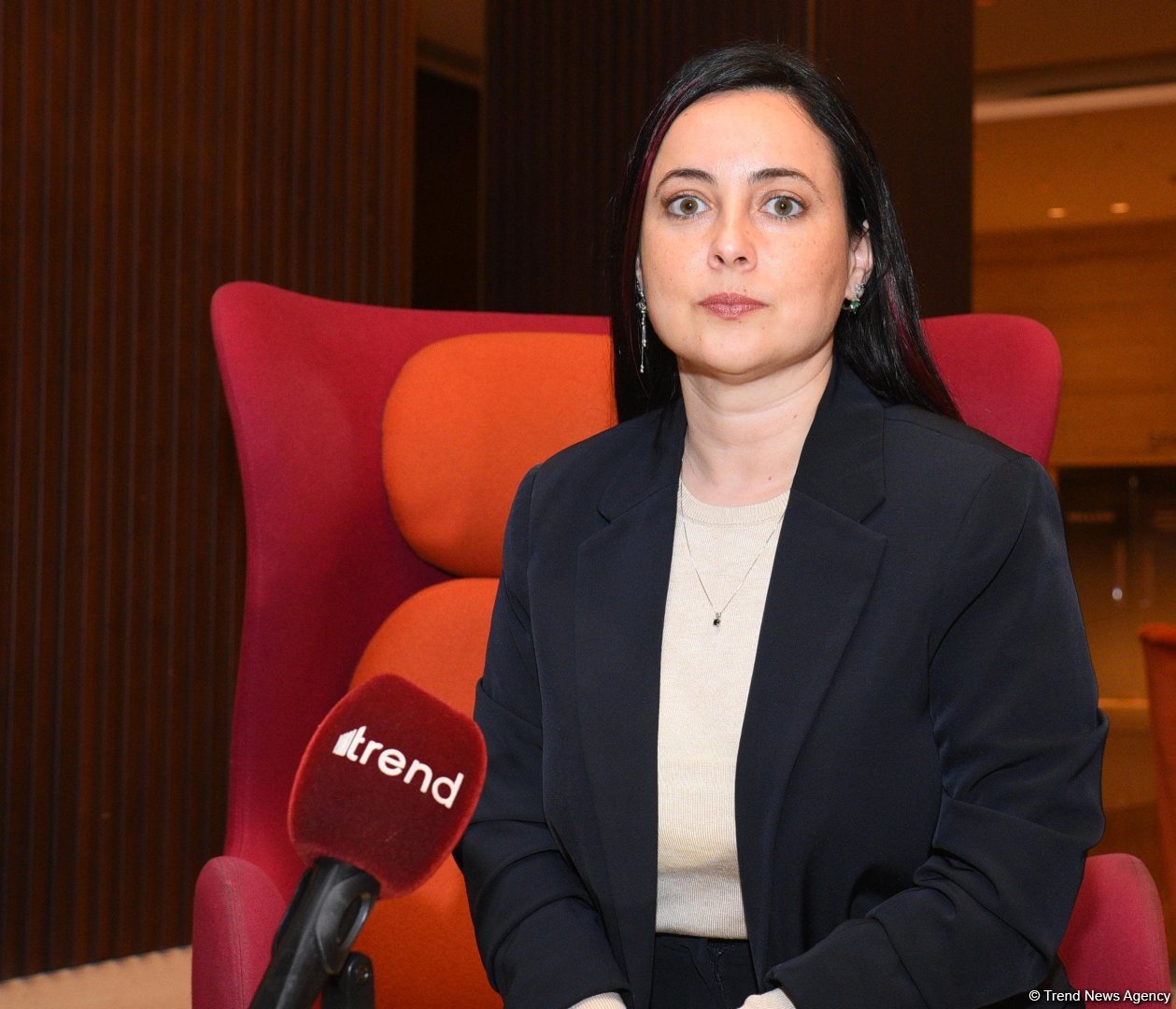 Israeli entrepreneurs keen on partnering with Azerbaijan across various sectors - Elina Bardach-Yalov (Interview) (PHOTO)