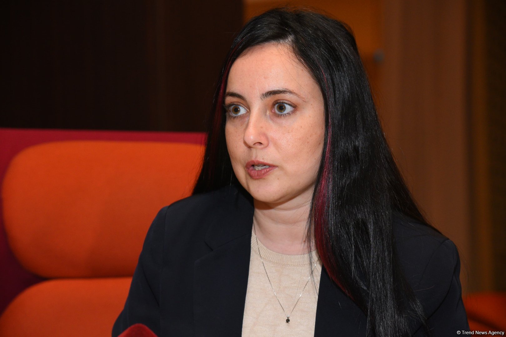 Israeli entrepreneurs keen on partnering with Azerbaijan across various sectors - Elina Bardach-Yalov (Interview) (PHOTO)