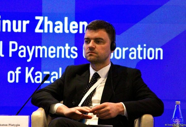 Visa considered pioneer in use of artificial intelligence - VP