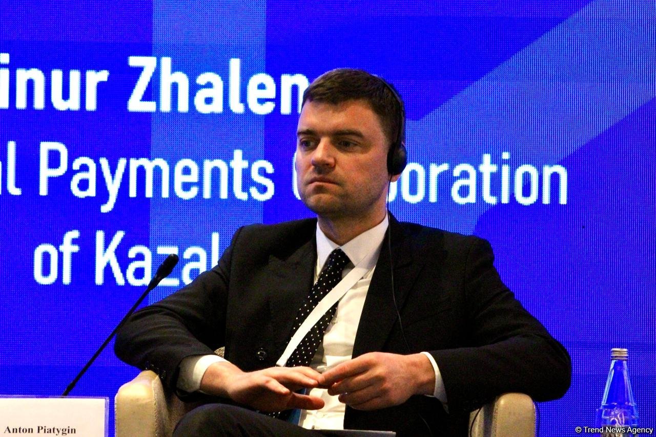 Visa considered pioneer in use of artificial intelligence - VP