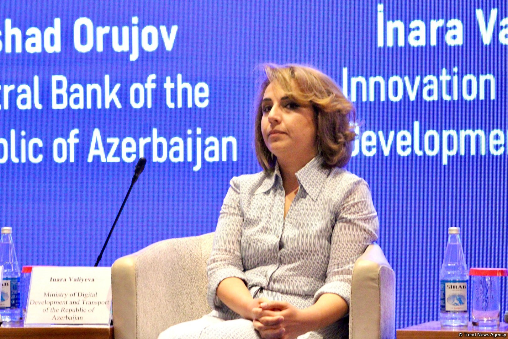 Azerbaijan supports startups to enter international markets - chairperson of agency