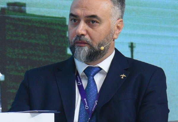 Azerbaijan's AZAL to install luggage drop-off desks and self-service stands - official