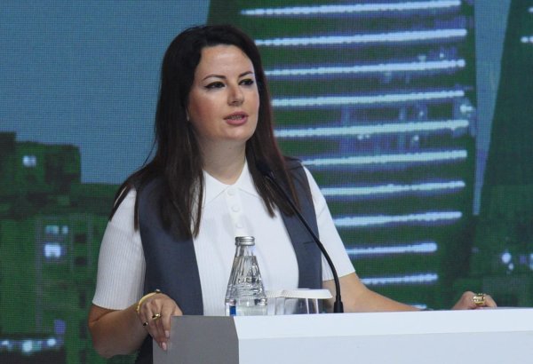 Azerbaijan's Azercell to boost number of its green energy-run stations by year-end