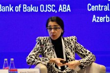 Fintex Summit 2024 in Baku wraps up (PHOTO)