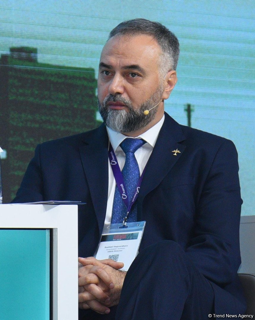 Azerbaijan's AZAL to install luggage drop-off desks and self-service stands - official