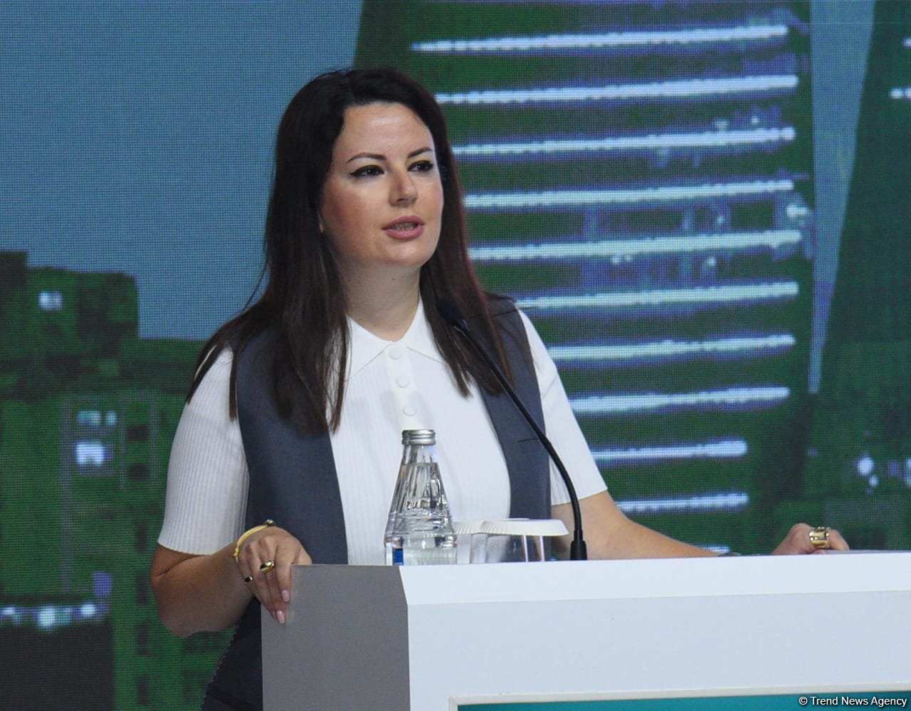 Azerbaijan's Azercell to boost number of its green energy-run stations by year-end