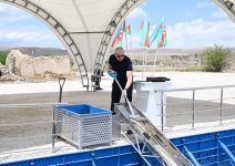 President Ilham Aliyev lays foundation stone for Karhulu village in Jabrayil district (PHOTO/VIDEO)
