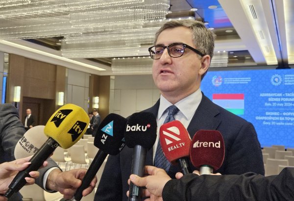Azerbaijan, Iraq plan to improve system of mutual financial settlements - AZPROMO