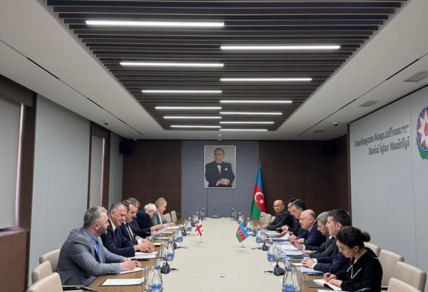 Azerbaijan-Georgian MFAs conduct next round of political consultations