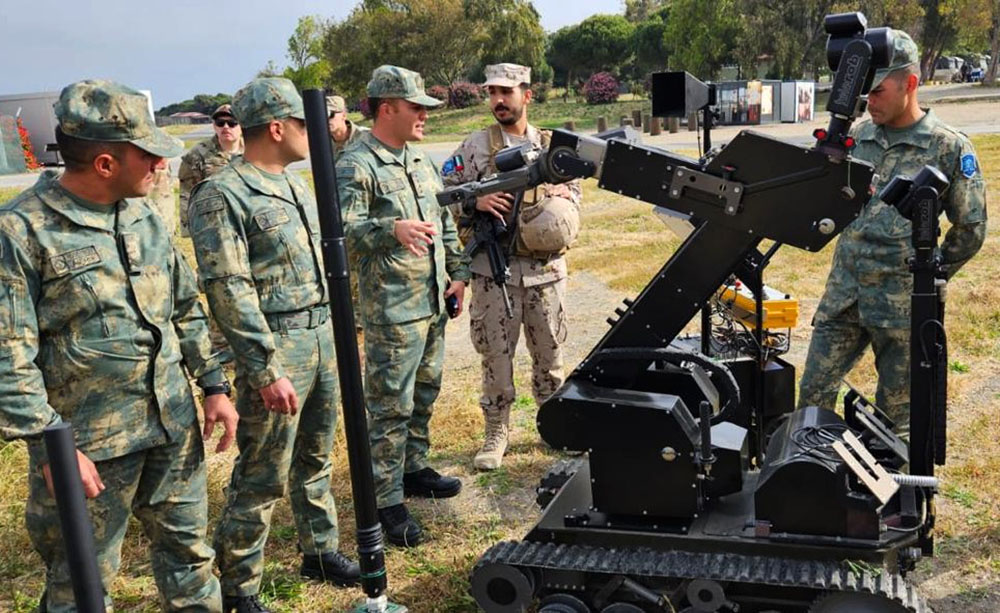 Next tasks fulfilled at EFES-2024 multinational drills involving Azerbaijan (PHOTO/VIDEO)