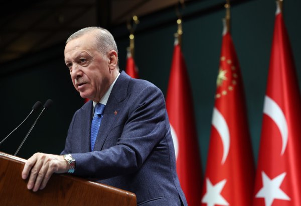 Islamic countries should have veto power in UN Security Council - Turkish President