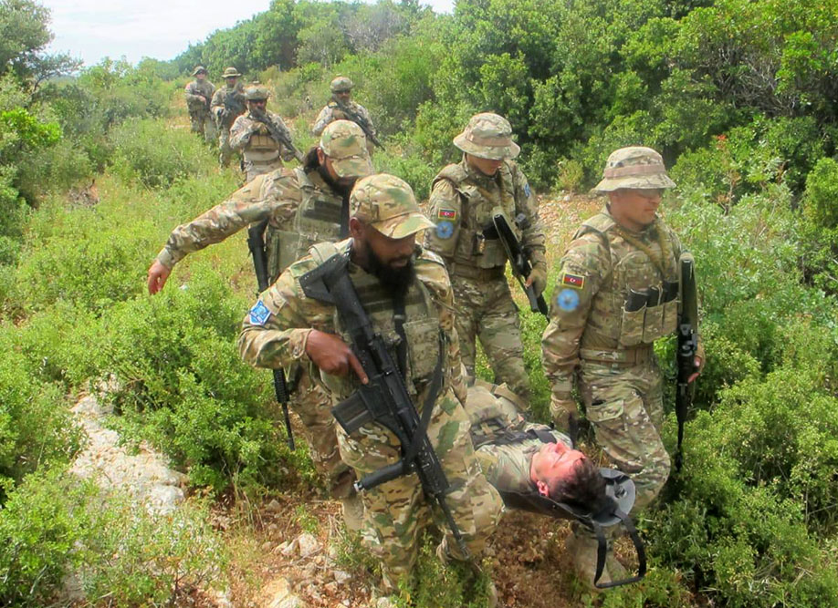 Next tasks fulfilled at EFES-2024 multinational drills involving Azerbaijan (PHOTO/VIDEO)