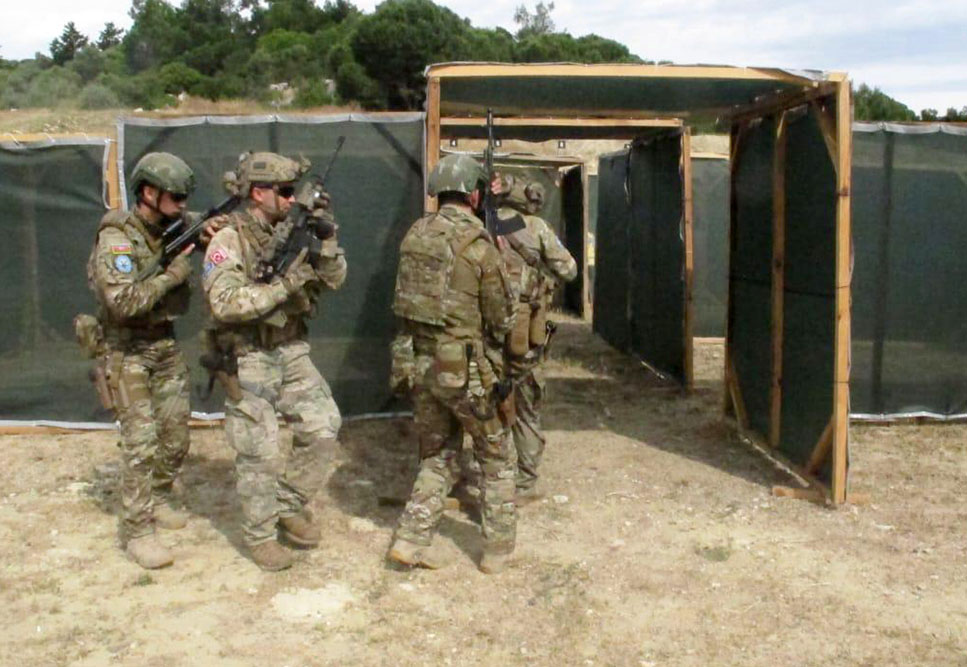 Next tasks fulfilled at EFES-2024 multinational drills involving Azerbaijan (PHOTO/VIDEO)