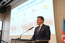 Heydar Aliyev Foundation VP Leyla Aliyeva attends Berlin event dealing with bison reintroduction (PHOTO)