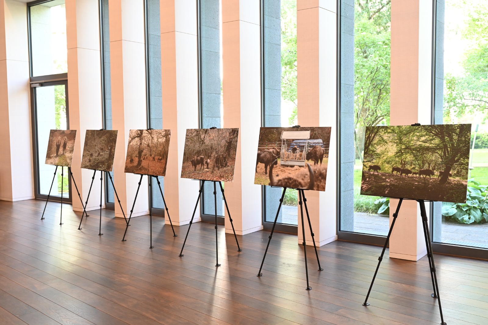 Heydar Aliyev Foundation VP Leyla Aliyeva attends Berlin event dealing with bison reintroduction (PHOTO)