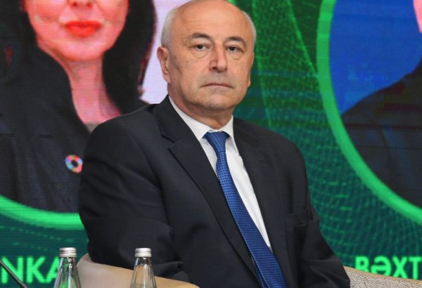 Azerbaijan faces ambitious goals in transitioning to green energy - deputy minister