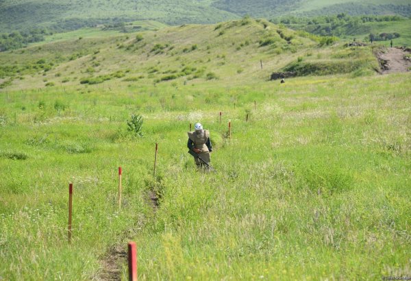 Azerbaijan lists number of mines found in nation's liberated territories
