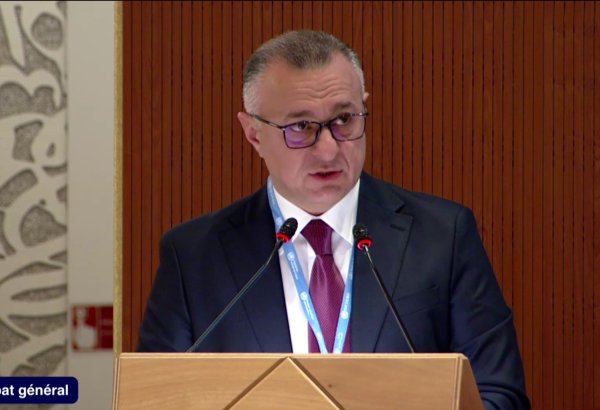 Azerbaijani minister highlights climate, health initiatives ahead of COP29 at World Health Assembly (PHOTO)
