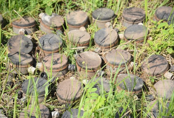 Mines in liberated villages of Azerbaijan's Gazakh district made in Armenia - assoc. chair
