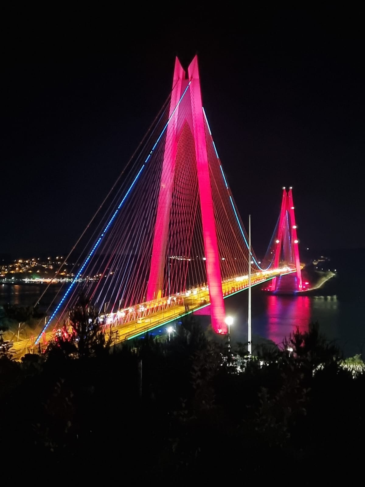 Istanbul, painted in colors of Azerbaijani flag, looks even more beautiful this night - Turkish minister (PHOTO)